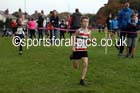 Boys under-11s Northern Cross Country Relays, Graves Park, Sheffield. Photo: David T. Hewitson/Sports for All Pics